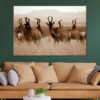 Monochrome Portrait of Hartebeest Wall Art Print 100% Australian Made - Image 2