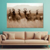 Monochrome Portrait of Hartebeest Wall Art Print 100% Australian Made
