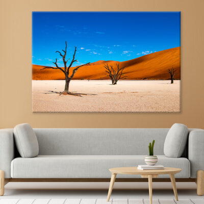 Deadvlei Clay Pan in NamibiaWall Art Print 100% Australian Made