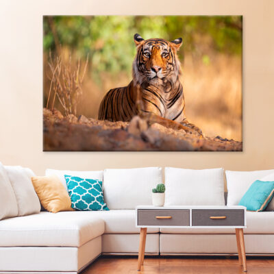 Amazing Tiger In The Nature Wall Art Print 100% Australian Made