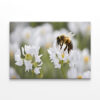 Elegant Bees Scooping Flowers Wall Art Print 100% Australian Made - Image 3