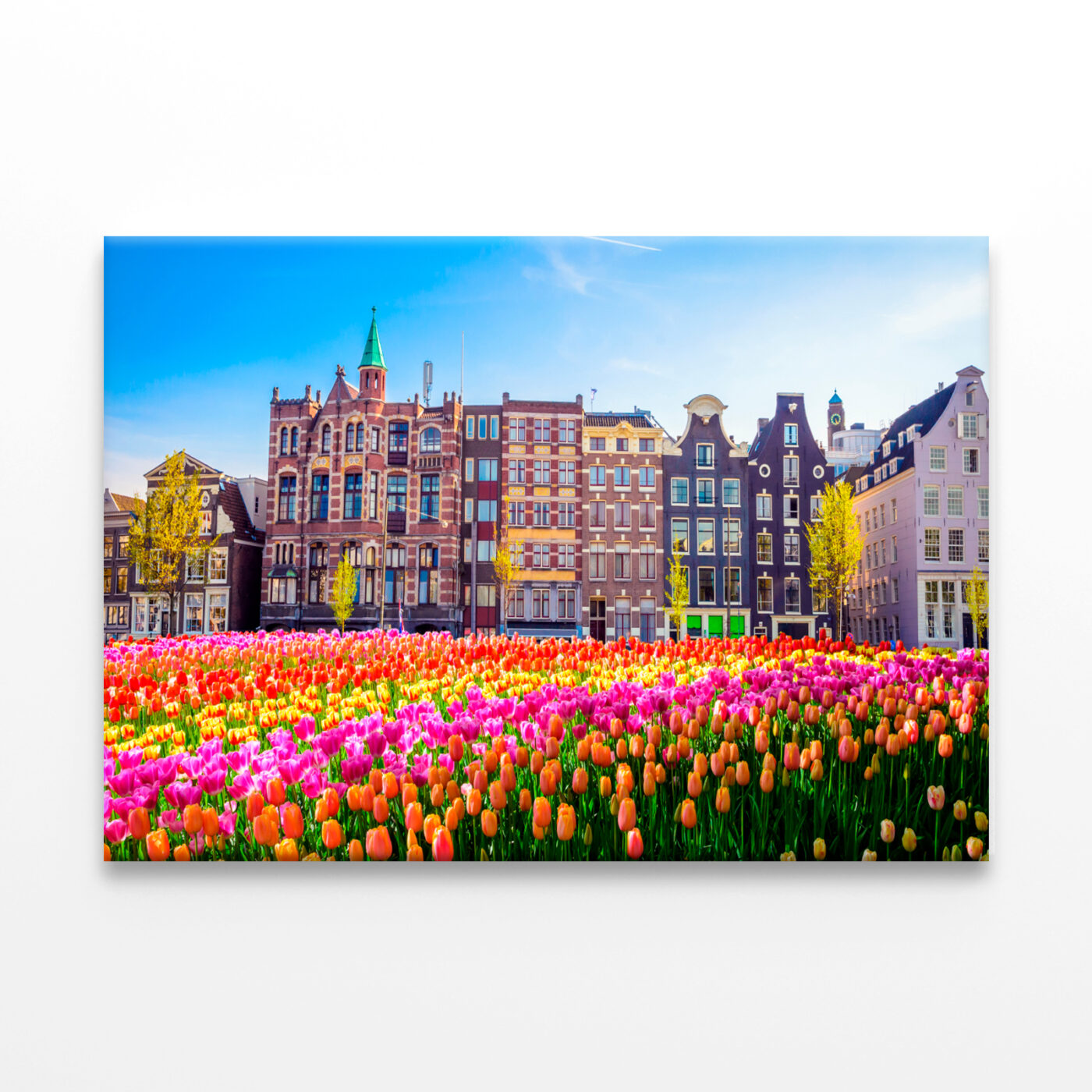 Buildings Tulips Amsterdam Wall Art Print 100% Australian Made - Image 3