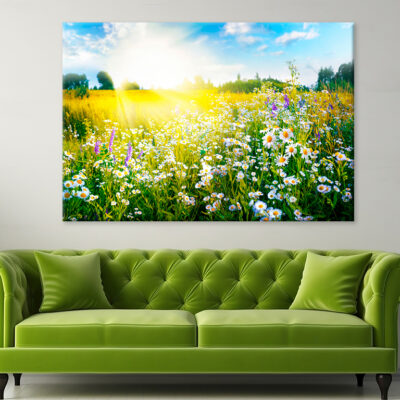 Sun-Drenched Spring Summer Meadow Wall Art Print 100% Australian Made