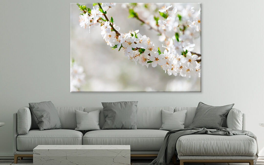 Elegant White Plum Blossom Wall Art Print 100% Australian Made