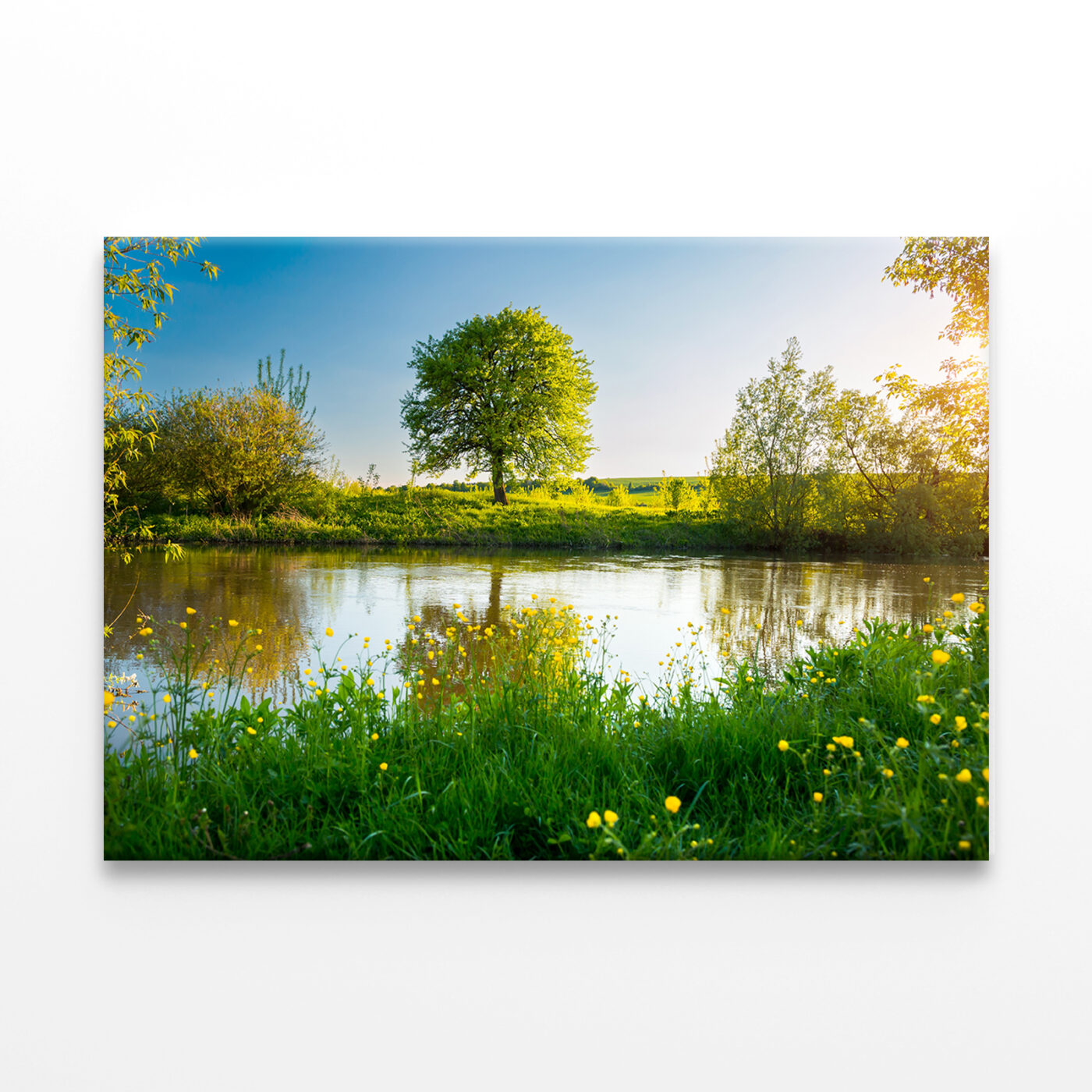 Spring Meadow by River Seret Wall Art Print 100% Australian Made - Image 2