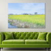 Field  Canola Flowers Fukushima Lagoon Wall Art Print 100% Australian Made