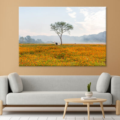 a landscape of autumn fields with cosmos in Bloom Wall Art Print 100% Australian Made