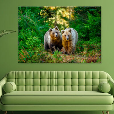Two Big Brown Bear In Forest Wall Art Print 100% Australian Made