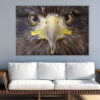 Sea Eagle Portrait Wall Art Print 100% Australian Made