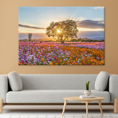 Autumn Fields with Cosmos in Bloom Wall Art Print 100% Australian Made