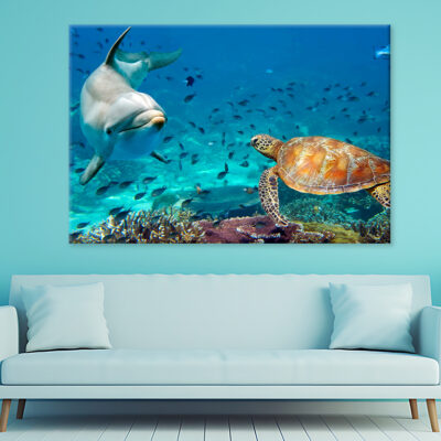 Dolphin and Turtle Underwater Wall Art Print 100% Australian Made