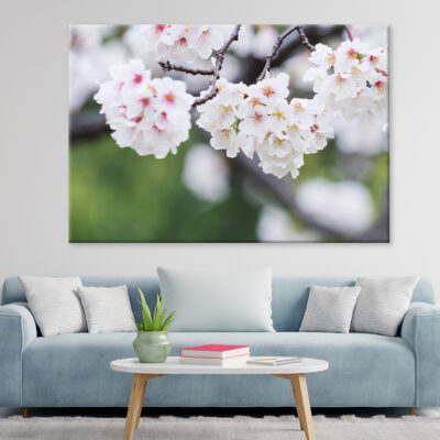 Rain on White Cherry Blossoms Wall Art Print 100% Australian Made