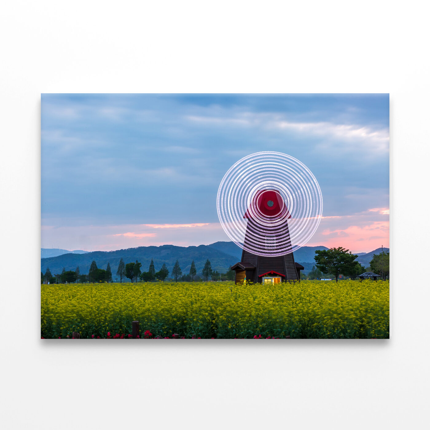 Spring scenery of Nakdonggang River canola fields in Korea Wall Art Print 100% Australian Made - Image 2