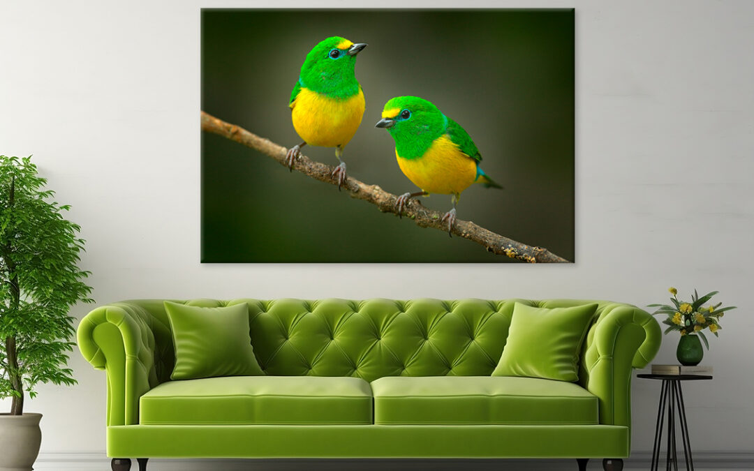 Blue-Naped Tanagers on Branch Wall Art Print 100% Australian Made