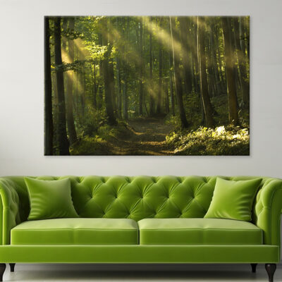 Beams Of Sunlight And Trees Wall Art Print 100% Australian Made