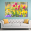 Northern Lights over Snowy Mountains . Spring scenery of fields along Korea's Nakdong River with tulips bloomingWall Art Print 100% Australian Made
