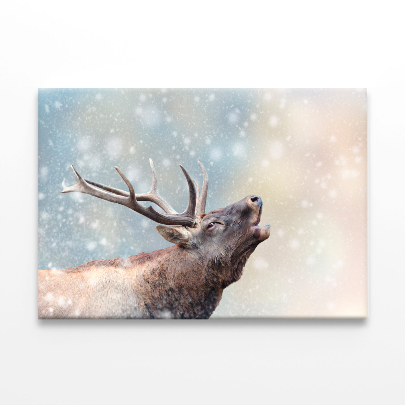 Deer in Snow Winter Wonderland Wall Art Print 100% Australian Made - Image 3