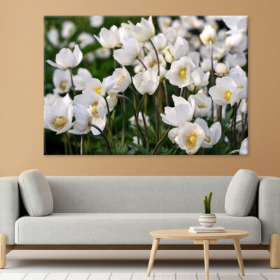 Beautiful White Spring Flowers Wall Art Print 100% Australian Made