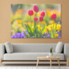 Northern Lights over Snowy Mountains . Spring scenery of fields along Korea's Nakdong River with tulips bloomingWall Art Print 100% Australian Made - Image 3