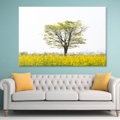 Spring scenery of Nakdonggang River canola fields in Korea Wall Art Print 100% Australian Made