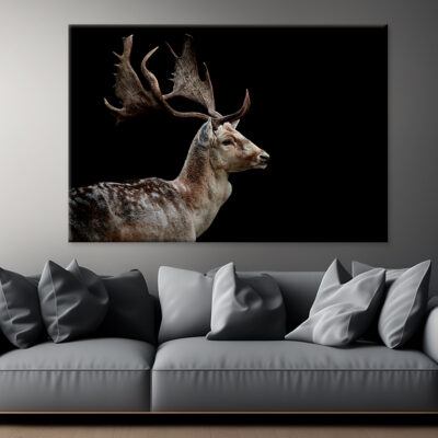 Male Fallow Deer on Black Background Wall Art Print 100% Australian Made