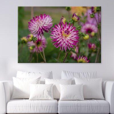 Beautiful Flowers Growing In Garden Wall Art Print 100% Australian Made