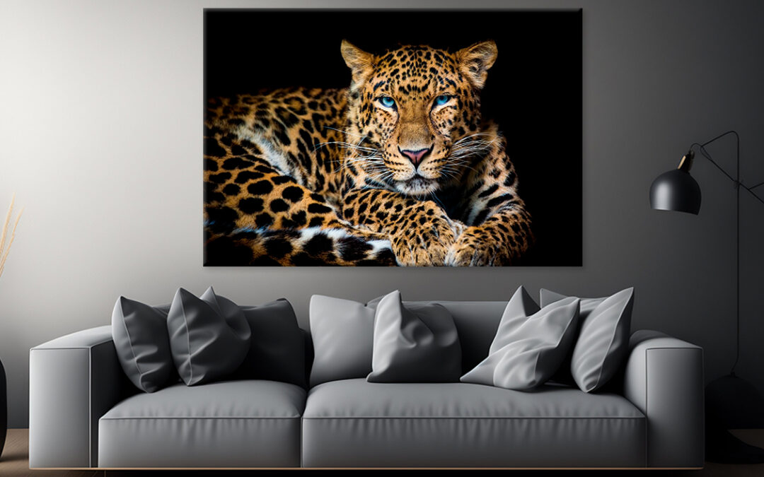 North China Leopard in Zoo Wall Art Print 100% Australian Made