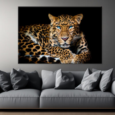 North China Leopard in Zoo Wall Art Print 100% Australian Made
