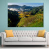Dura, Ziro: Kiwi Garden & Island Wall Art Print 100% Australian Made