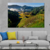 Dura, Ziro: Kiwi Garden & Island Wall Art Print 100% Australian Made - Image 2