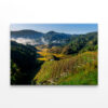 Dura, Ziro: Kiwi Garden & Island Wall Art Print 100% Australian Made - Image 3