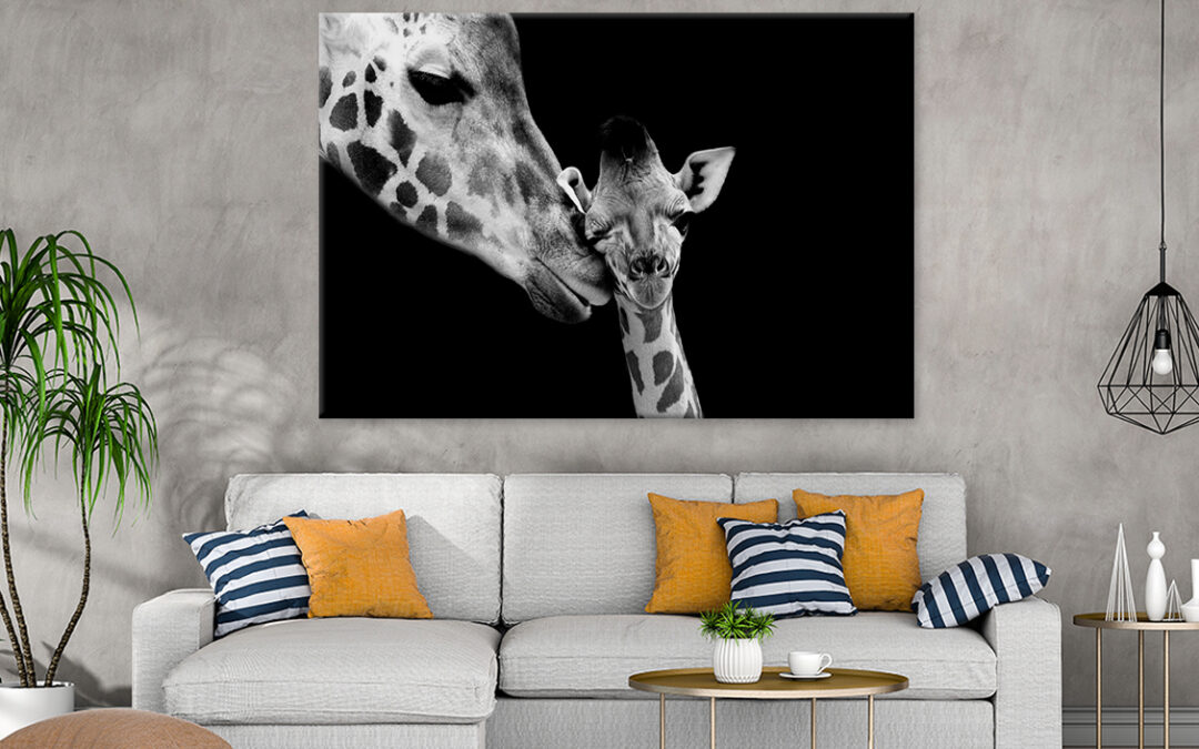 Mom and Baby Giraffe Faces Wall Art Print 100% Australian Made