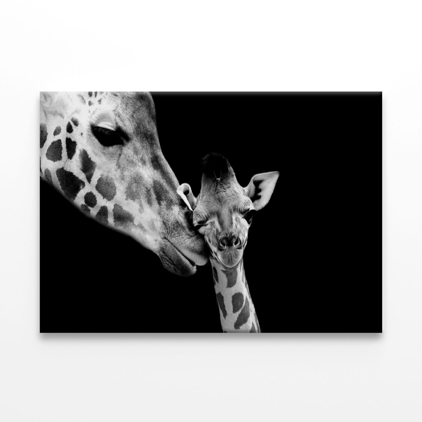 Mom and Baby Giraffe Faces Wall Art Print 100% Australian Made - Image 3