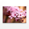 Peach Tree Branch With Blossoms Wall Art Print 100% Australian Made - Image 2