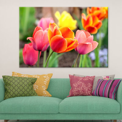 Tulip Flowers In Spring Wall Art Print 100% Australian Made