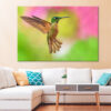 Fawn breasted Brilliant Hummingbird in Flight Wall Art Print 100% Australian Made