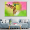 Fawn breasted Brilliant Hummingbird in Flight Wall Art Print 100% Australian Made - Image 3