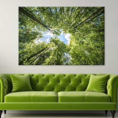 Sunlight Filtering Through Trees  Wall Art Print 100% Australian Made
