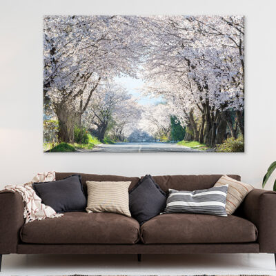 Cherry Blossom Road in Korea Wall Art Print 100% Australian Made