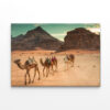 Camels in Wadi Rum Desert, Jordan Wall Art Print 100% Australian Made - Image 3