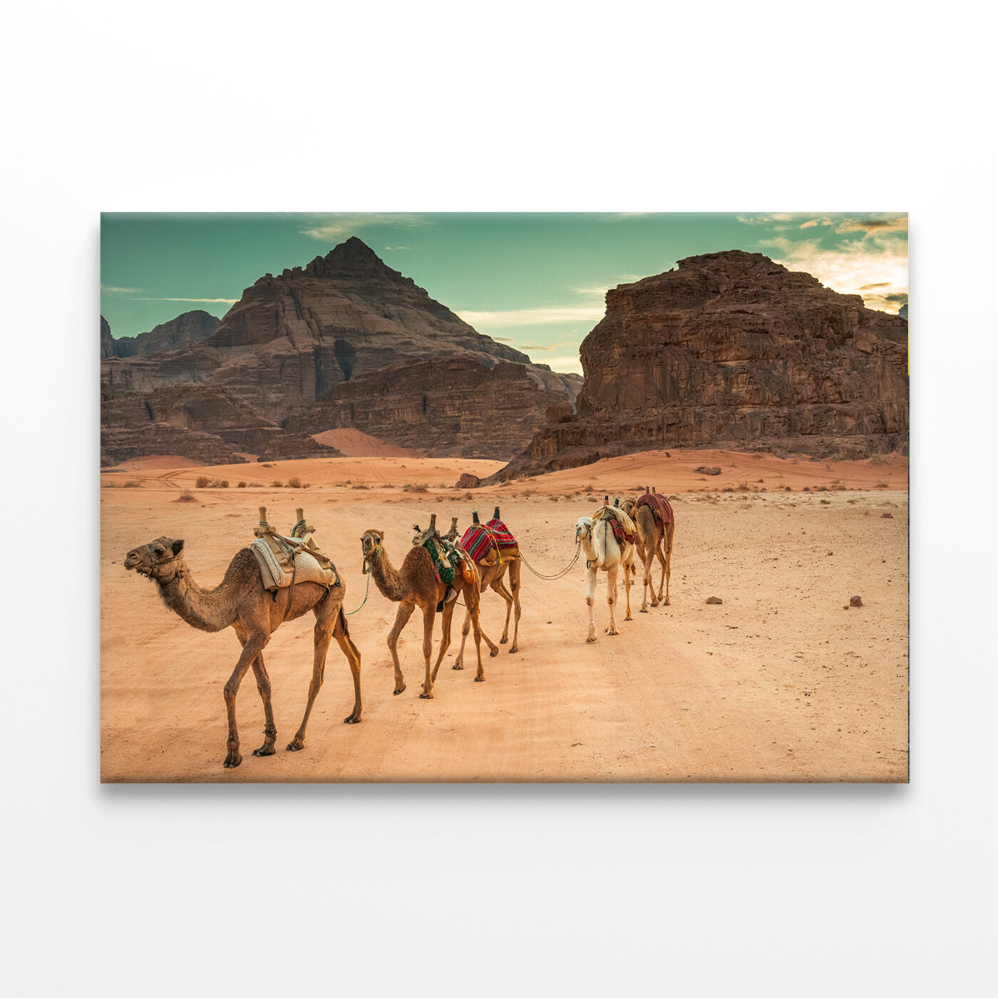 Camels in Wadi Rum Desert, Jordan Wall Art Print 100% Australian Made - Image 3