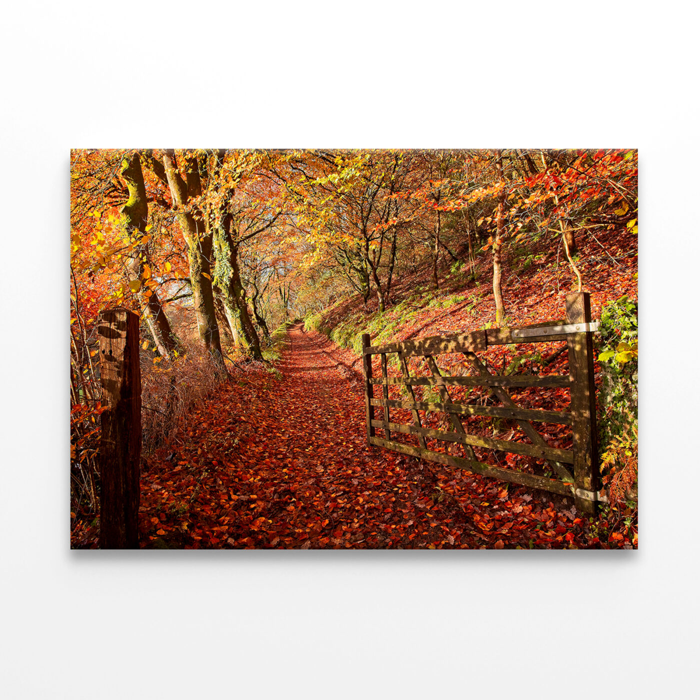 Autumn Hues in Gwaun Valley Wales Wall Art Print 100% Australian Made - Image 3