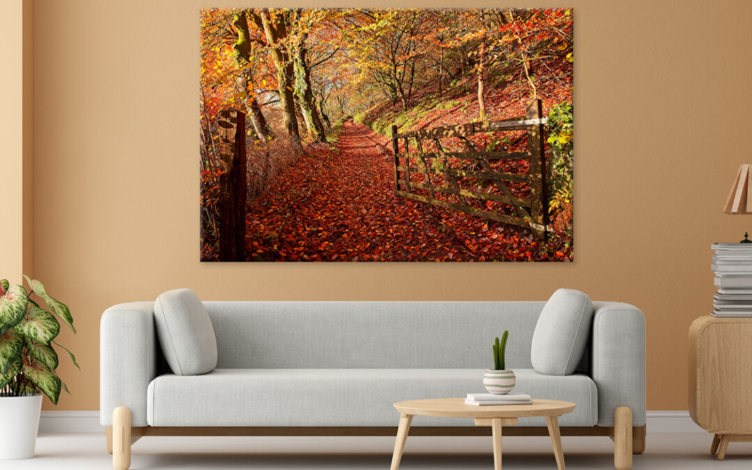 Autumn Hues in Gwaun Valley Wales Wall Art Print 100% Australian Made