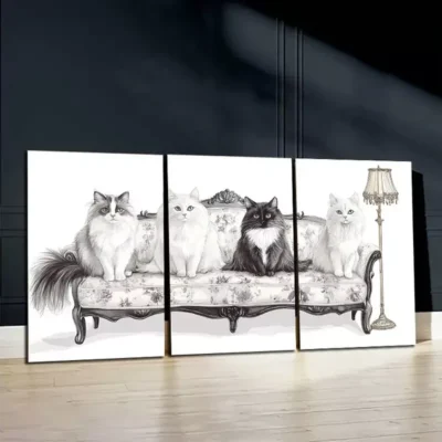 3pcs Black & White Cats In Sofa Canvas Framed 50x70cm- High Quality Print 100% Australian Made Wall Canvas Ready to Hang