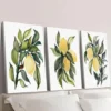 3pcs Vibrant Yellow Lemons with Green Leaves Wall Art Set Canvas Framed 40x60cm - High Quality Print 100% Australian Made Wall Canvas Ready to Hang - Image 3