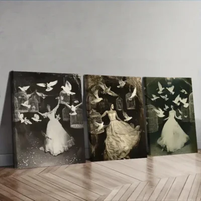 3pcs The trapped bride Wall Art Set Canvas Framed 50x70cm - High Quality Print 100% Australian Made Wall Canvas Ready to Hang