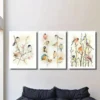 3pcs Vibrant Bird Canvas Art Prints - Watercolor Wall Art Set Canvas Framed 50x70cm - High Quality Print 100% Australian Made Wall Canvas Ready to Hang - Image 3