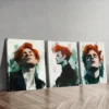 3pcs A man with red hair.(10) Wall Art Set Canvas Framed 50x70cm - High Quality Print 100% Australian Made Wall Canvas Ready to Hang