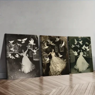 3pcs The trapped bride Wall Art Set Canvas Framed 40x60cm - High Quality Print 100% Australian Made Wall Canvas Ready to Hang