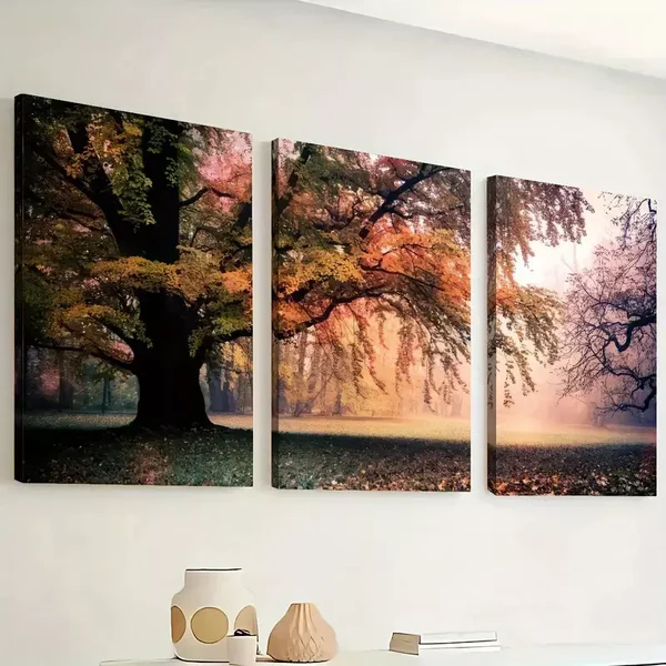 3pcs Forest Sunrise Morning Scenery Canvas Framed 50x70cm- High Quality Print 100% Australian Made Wall Canvas Ready to Hang